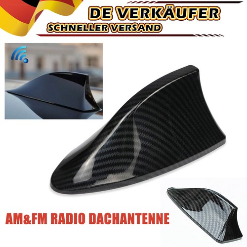 Universal auto shark hai - shark,